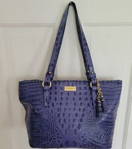 Rare Brahmin Medium Asher in Violet